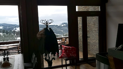 Restaurant Mestecăniș — fotografia 2