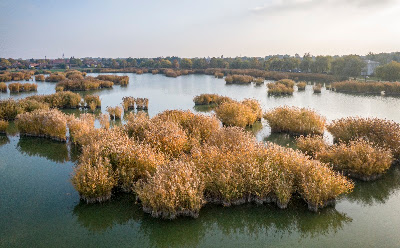 Nádaspart Horgásztó és Szabadidőközpont