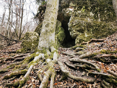 Ördög-árok — fotografia 5
