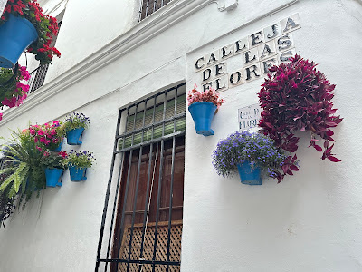 Calleja de las Flores — fotografia 5