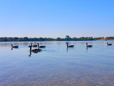 Epplesee — fotografia 4
