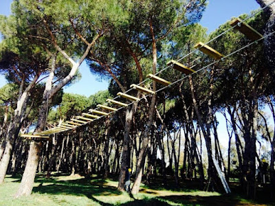 Parco Avventura Fregene — fotografia 4