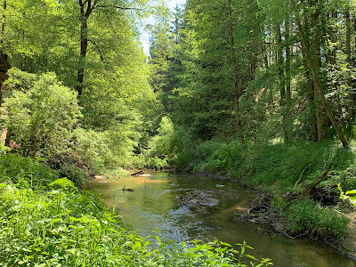 Schwarzachklamm Wanderweg — fotografia 4
