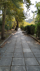 valley Countryside — fotografia 5