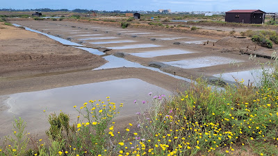 Marismas de Isla Cristina — fotografia 5