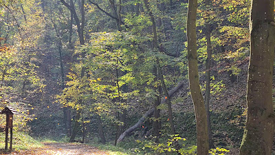 Cuha-völgyi pihenőpark és erdei tanösvény — fotografia 2