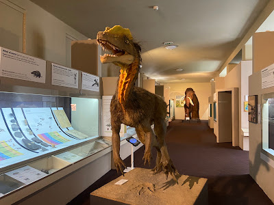 SNM-Natural History Museum — fotografia 3