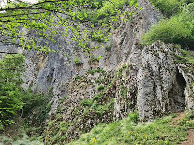 Cheile Cuților — fotografia 3