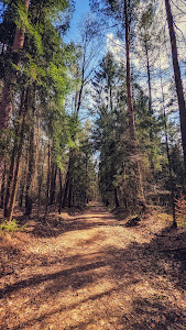 Zeitzgrund — fotografia 4