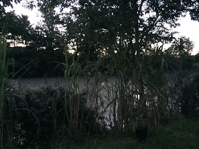 Camping at the river — fotografia 4
