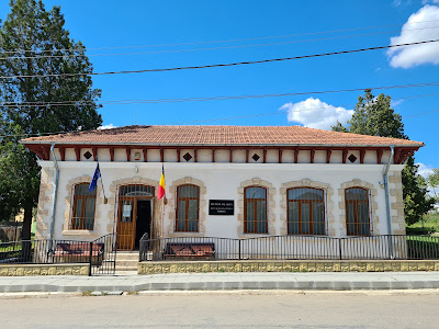 Muzeul de Artă „Dinu și Sevasta Vintilă”
