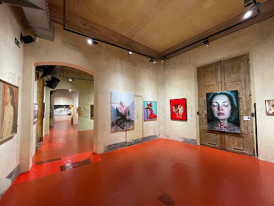 Muzeul European de Artă Modernă — fotografia 3