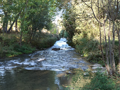 Sendero del Genil — fotografia 3