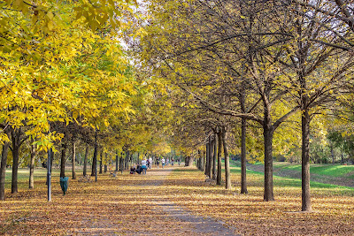 Szilas park — fotografia 4
