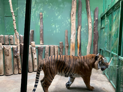 Grădina Zoologică din Praga — fotografia 5