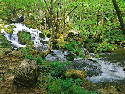 Излетиште Грза — fotografia 3