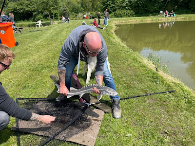 The trout fishponds Woldstek — fotografia 5