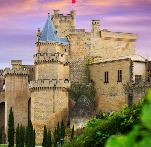 Royal Palace of Olite — fotografia 4