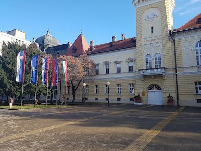 Muzeul Național Kikinda — fotografia 4
