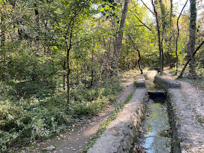 Byford's Forest