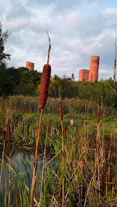 Castle in Czersk — fotografia 2