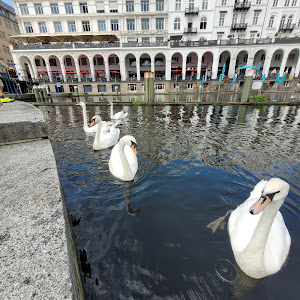 Alster Arcade — fotografia 3