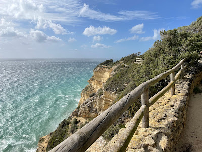 Mirador Torre del Tajo - Medio Ambiente