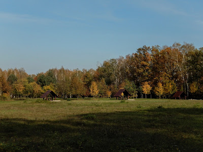 Polana Opaleń — fotografia 5