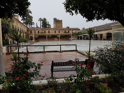 Caballerizas Reales — fotografia 5