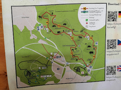Tier-Freigelände im Nationalparkzentrum Lusen — fotografia 3