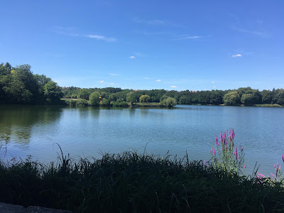 Malomvölgy Lake — fotografia 4