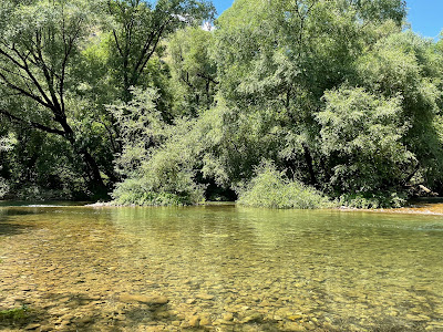 Camp Ilijin Vir — fotografia 5