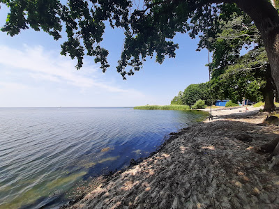 Plaża w Czarnocinie