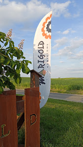 Pole namiotowe Marigold — fotografia 3