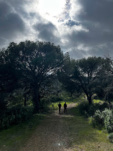 Parque Periurbano Los Villares — fotografia 3