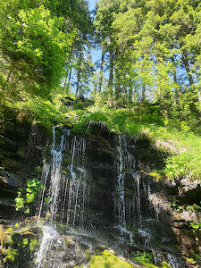 The valley of the White Opava — fotografia 4