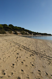 Playa de San Miguel — fotografia 4