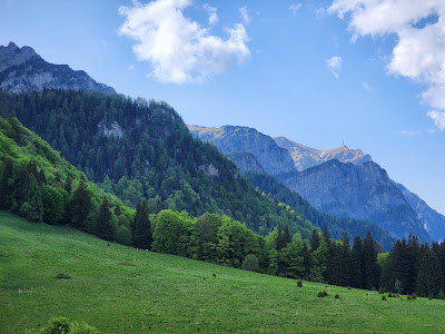 Poiana Stânei Regale