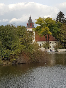Hamerský rybník — fotografia 5