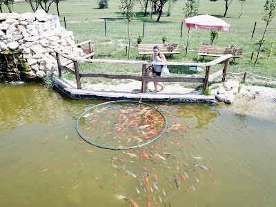 Bella Zoo Park, Siófok — fotografia 3