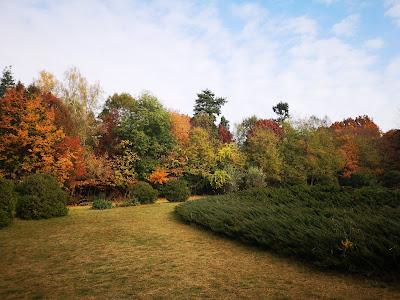 Arboretum of Gödöllő — fotografia 4
