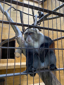 Zoo Târgu Mureș — fotografia 4