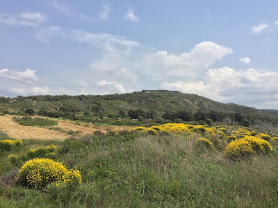Akropolis of Kamiros — fotografia 3