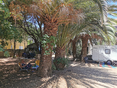 Kamp Glavna plaža — fotografia 5