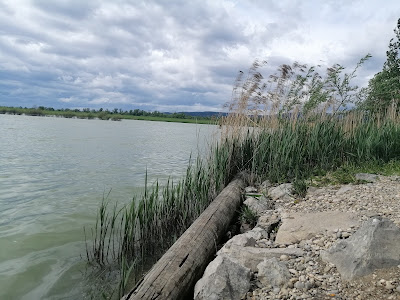 Jezero Ontario