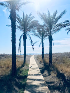 Platja del Pinar