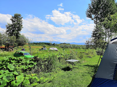 Camping Turul — fotografia 4