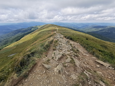 Tarnica — fotografia 3