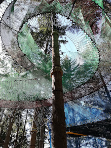 La Selva de l'Aventura — fotografia 3