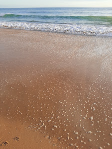 Cala del Puntalejo — fotografia 5